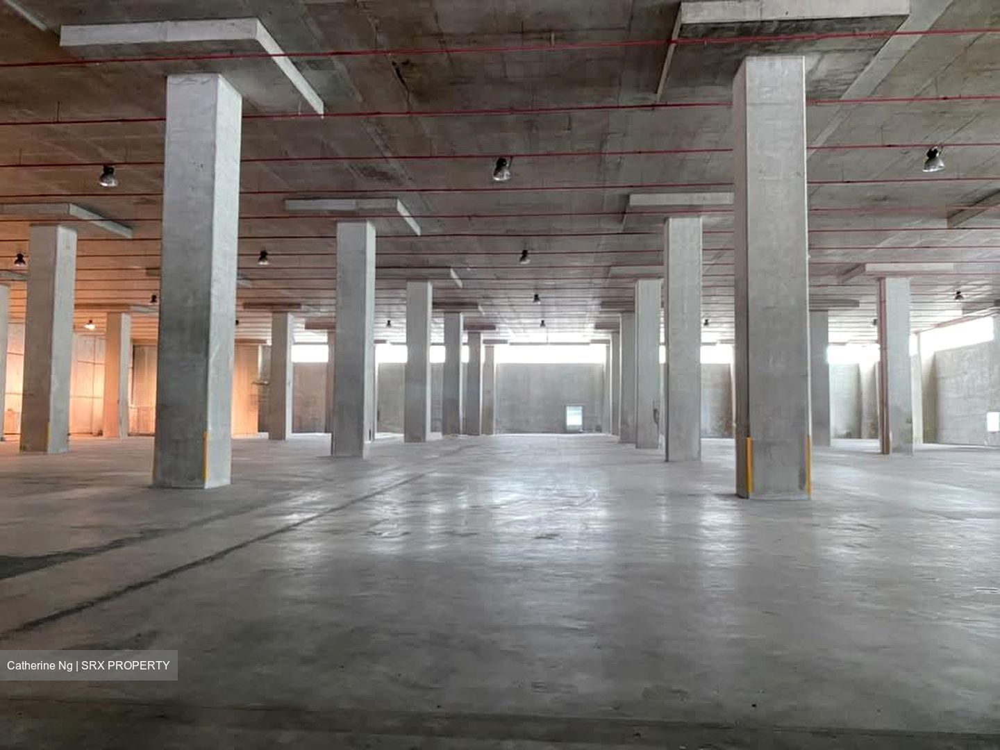 Greenwich Drive (D19), Factory #575432231